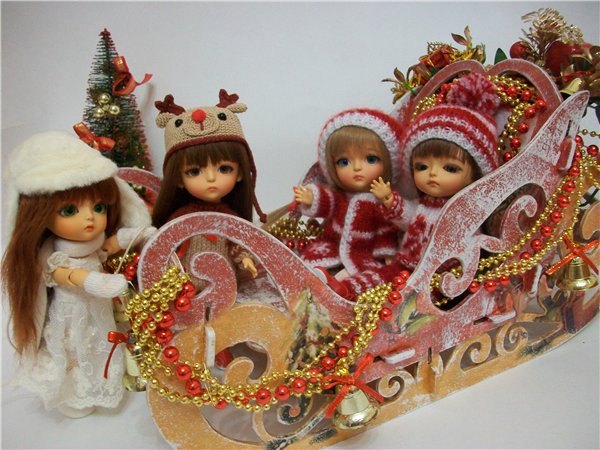 Как мои Латишки встречали Новый Год (фото 3)