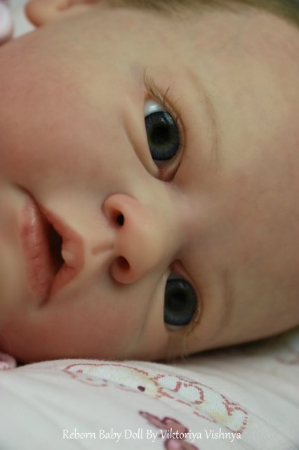 Близняшечки Ноа... Куколки реборн Виктории Вишни