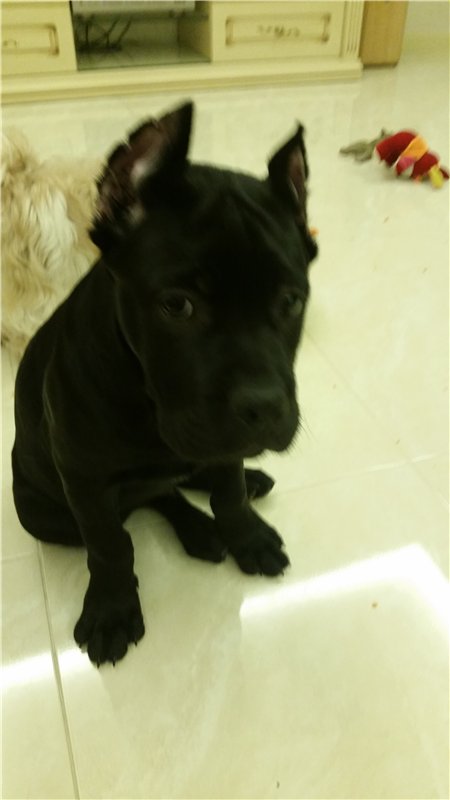 Мое сокровище. Самые любимые дети | Бэйбики Мое сокровище. Самые любимые дети