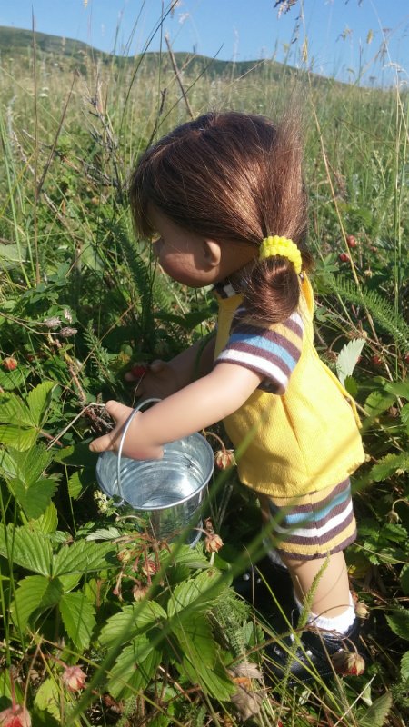 Земляничный день — Домашние коллекции кукол: фото собраний (фото 2)