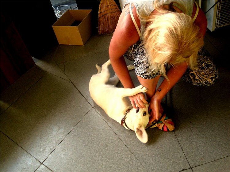 Лето. Солнце. Море. Всё смешалось - звери, куклы. Часть2 | Бэйбики Лето. Солнце. Море. Всё смешалось - звери, куклы. Часть2