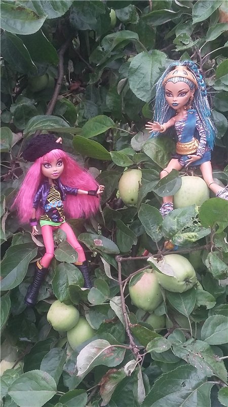 В гостях у бабушки ))) или яркое лето 2016 с девочками от Монстр Хай | Бэйбики В гостях у бабушки ))) или яркое лето 2016 с девочками от Монстр Хай (фото 2)