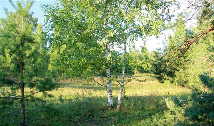 Августовская прогулка на Волге. Camryn от Zofia & Henry Zawieruszynski