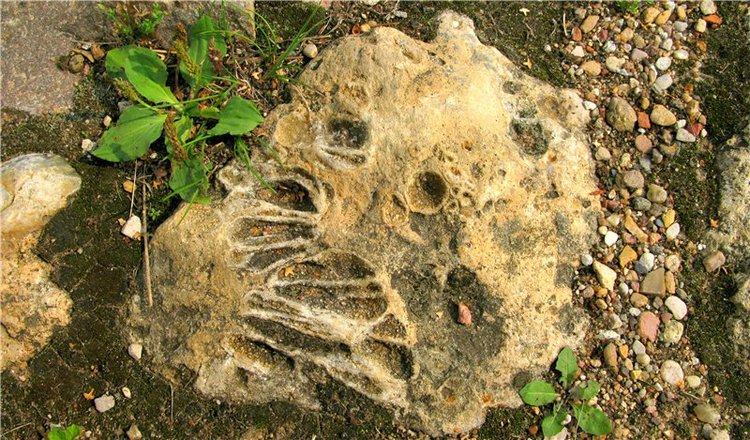 Старицкий православный фотофестиваль. Старицкий Свято-Успенский монастырь (фото 5)