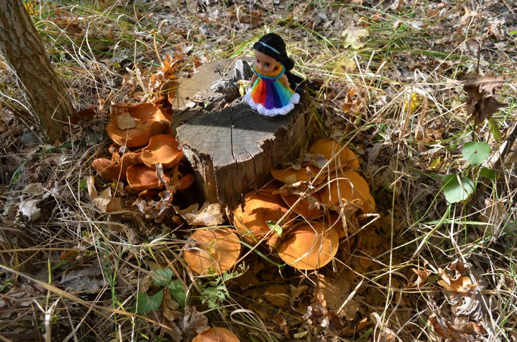 Мини дисней аниматорс Жасмин - осенняя прогулка или лесная принцесса, много фото