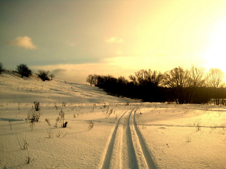 Мишкина зима! Авторский мишка Ольги Чернухо (фото 5)