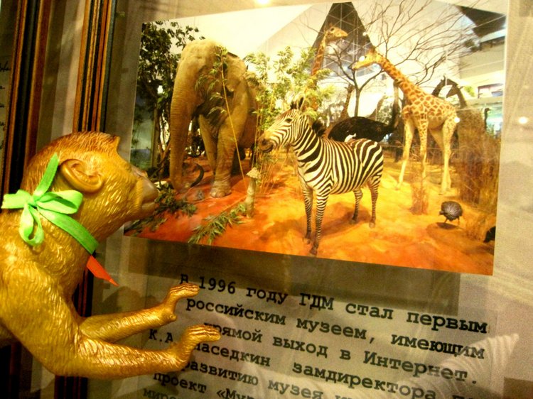 День в музее. Анжела в Государственном Дарвиновском музее (фото 8)