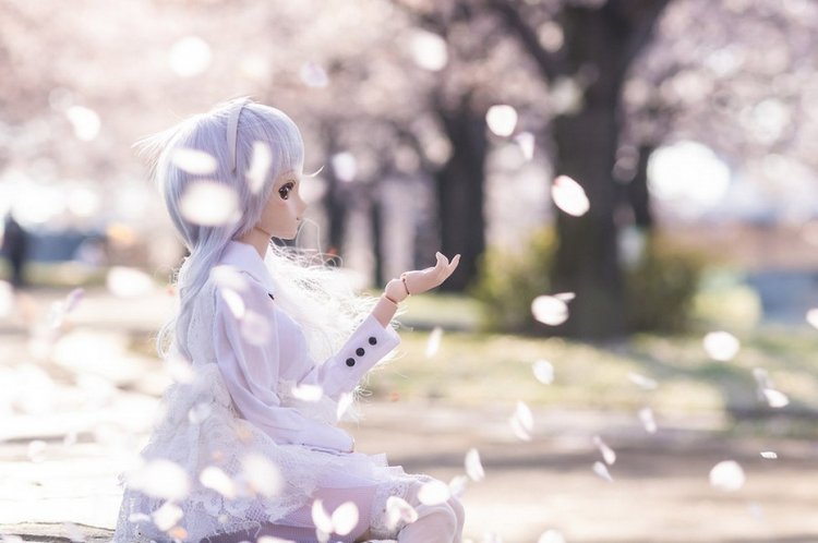 Красивые волшебные фотографии кукол от Azure Япония