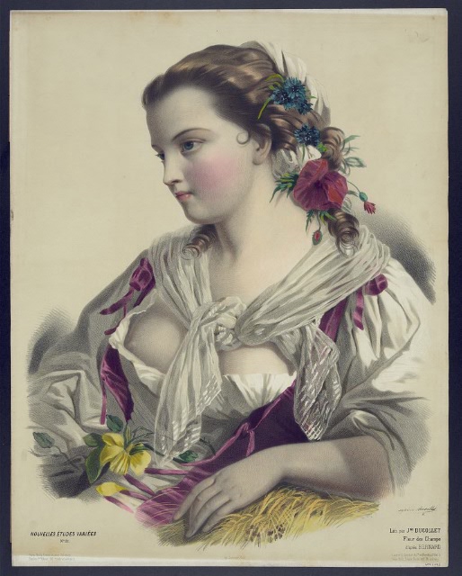 Дамы 19 век. Из французских модных журналов (фото 8)