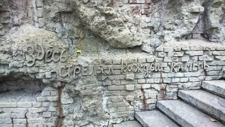 Я не участвую в войне — она участвует во мне (фото 8)