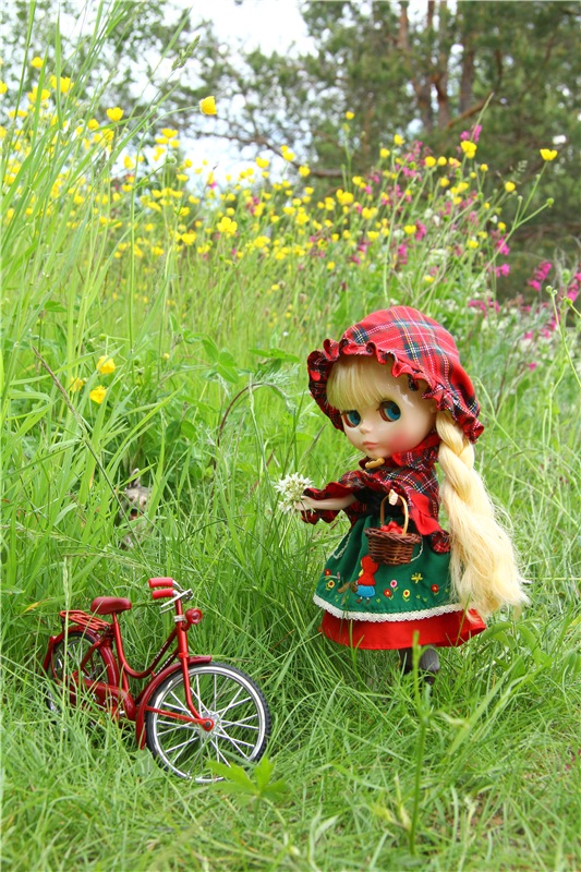 Путешествие в Сказку — Оригинальные куклы Blythe (Блайз): Takara