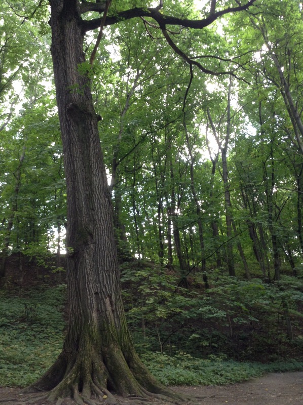 "Есть на Москве места такие..." ч.2. Тайны Коломенского оврага