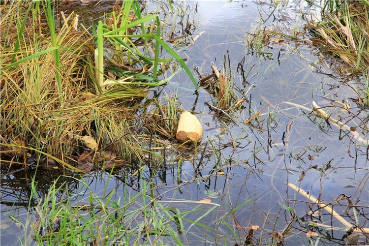 Тверской Водопад — Туризм и путешествия: фотоотчеты из поездок