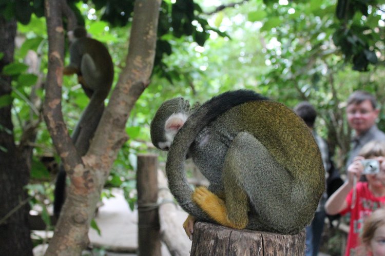 По Германии: зоопарк Лейпцига, часть 2