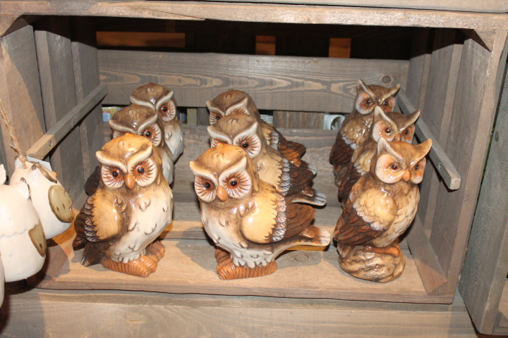 По Германии: зоопарк Лейпцига, часть 2