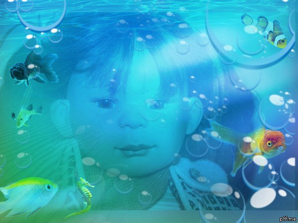 Susi Eimer для Schildkrot - 2012 Motitz и Lena из новой коллекции