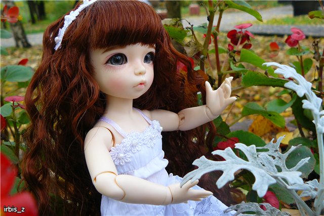 Вот так погуляли или Как у нас появилась кукла БЖД LittleFee Ante Elf