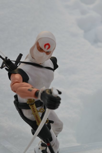 Вия и Киншин. Продолжение (фото 5)