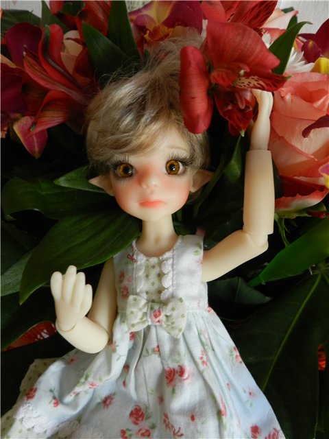 Nut Meg by Kaye Wiggs