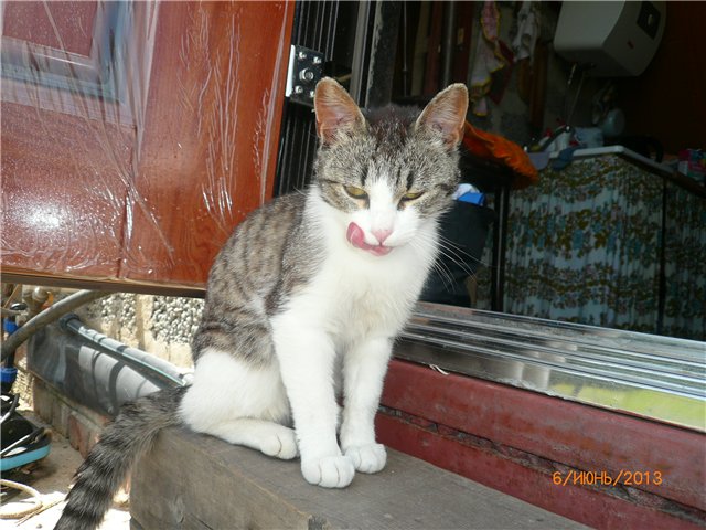 Мои позитивчики — Домашние коллекции кукол: фото собраний