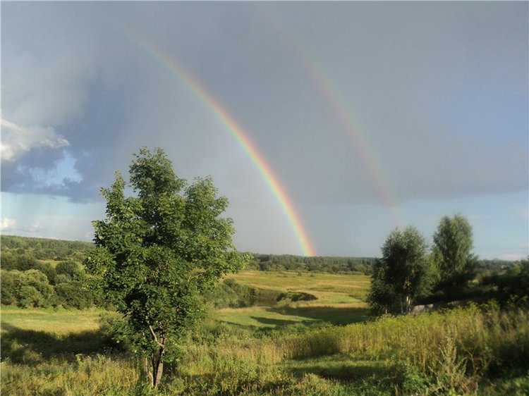 Ждем лета и верим в чудо! Куклы Готц и наряды