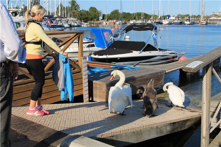 Командировка в Данию фейсинки (Galoob Baby Face doll) (фото 9)