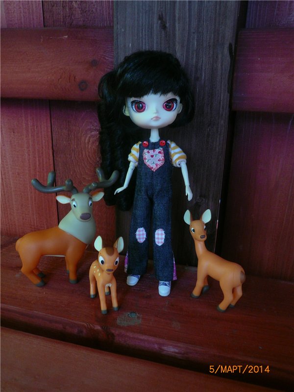 Люсенька - куколка Dal — Куклы Pullip (Пуллип)