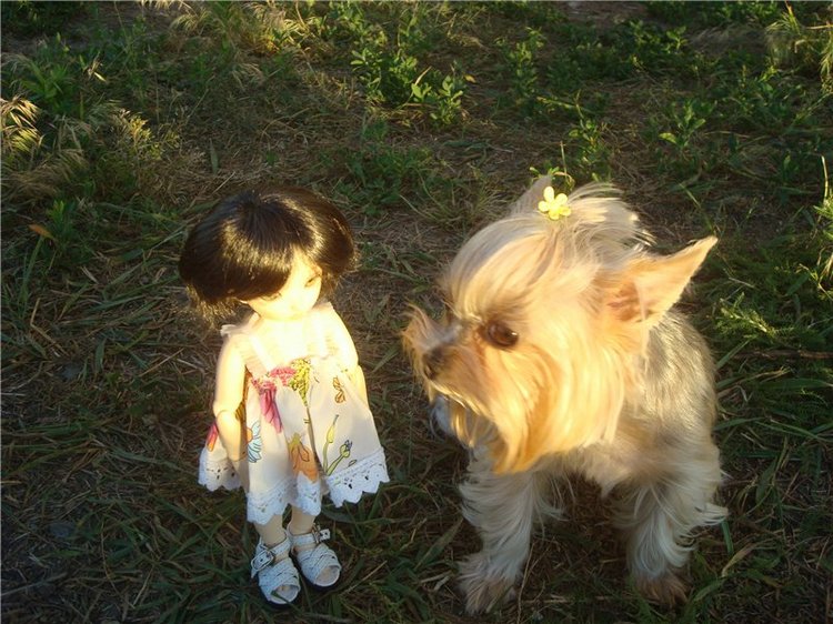 Наши малышки (худжио и Литлфи Луна)