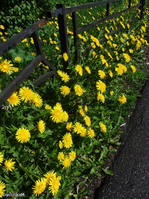 После дождичка в четверг — Болталка и разговоры обо всем: жизнь (фото 4)