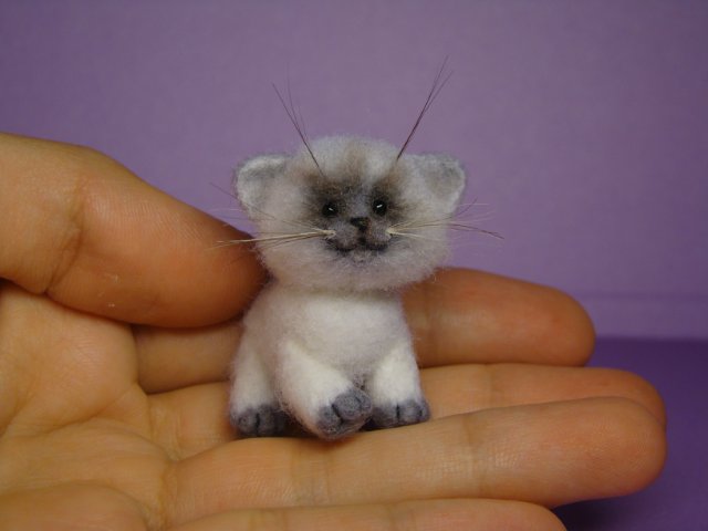 Котик. Авторская игрушка валянием из шерсти Ольги Чернухо (фото 5)