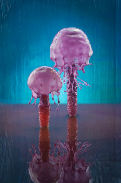 Капелька2 -ВСПЛЕСК- американский фотограф Джек Лонг | Бэйбики Капелька2 -ВСПЛЕСК- американский фотограф Джек Лонг