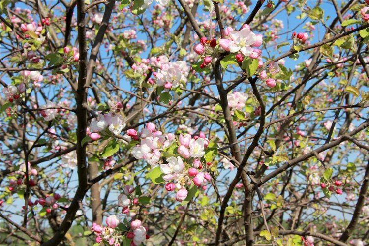 Субботний вояж. Заключительная часть