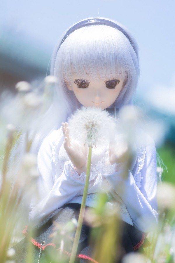 Красивые волшебные фотографии кукол от Azure Япония (фото 6)