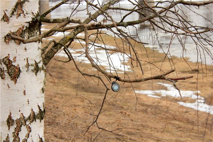 Весеннее путешествие. Продолжение