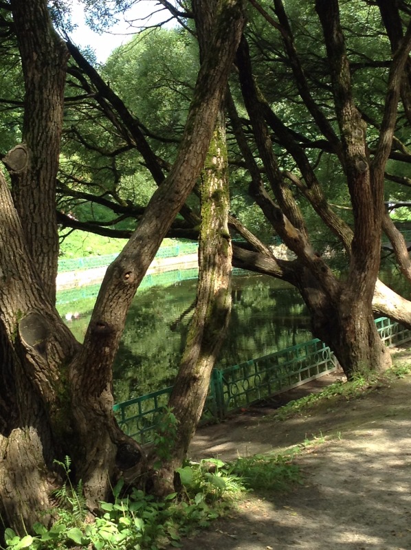 "Есть на Москве места такие..." ч.2. Тайны Коломенского оврага (фото 5)