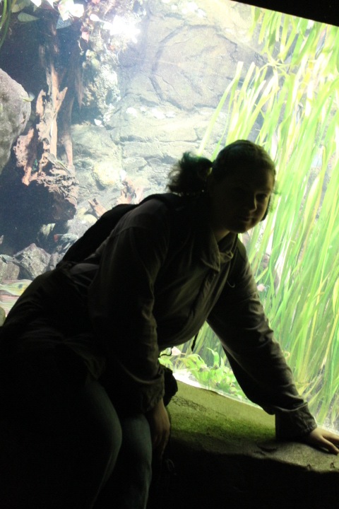 По Германии: зоопарк Лейпцига, часть 2