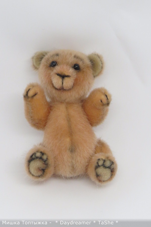 Позитивный мишка по имени Топтыжка (фото 6)