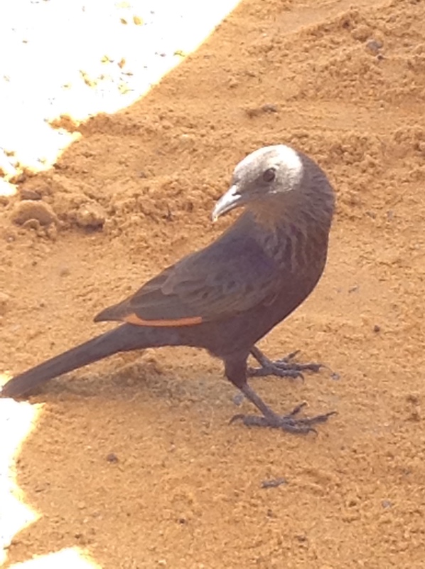 Белое солнце пустыни. Ч.2. Восточное, Соленое, Мертвое море- легенда