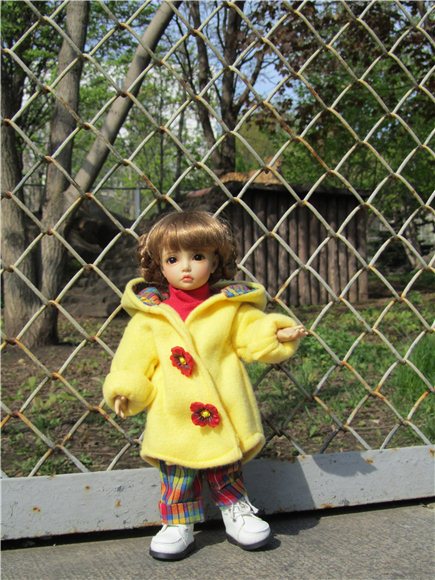 Наша традиционная майская прогулка по Московскому зоопарку (фото 6)