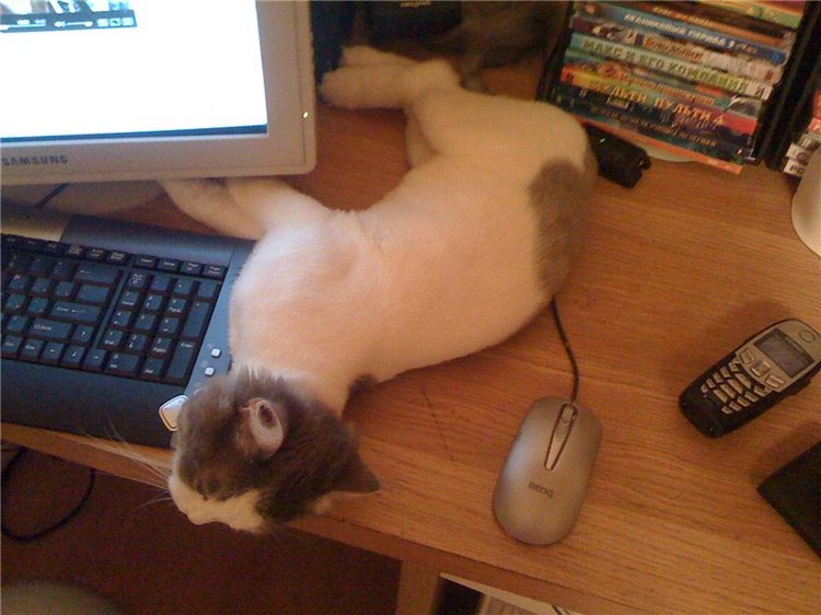 Учимся крепко спать — Болталка и разговоры обо всем: жизнь (фото 2)