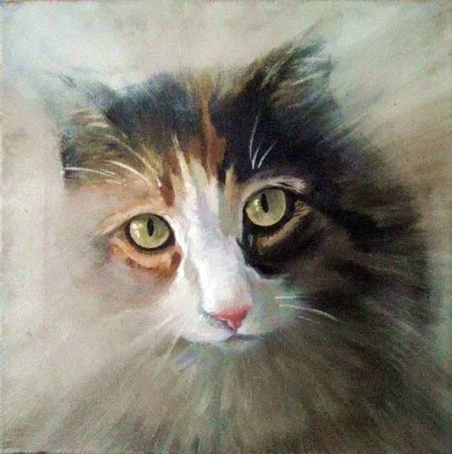 «Мяу» особого назначения или Весенняя кошкотерапия