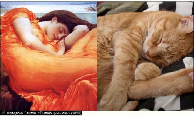 «Мяу» особого назначения или Весенняя кошкотерапия