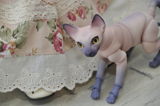 А кто к нам приехал!!! Мей Мей от Кайе Виггз и ее новый друг