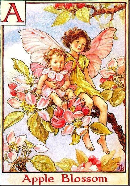 Добро пожаловать в мир ЦВЕТОЧНЫХ ФЕЙ (фото 3)