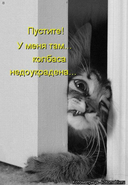Просто добавь улыбку или пятничный девиз