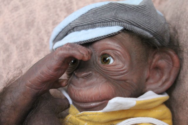 Гога, он же Гоша,он же Гора, он же Жора, здесь проживает? кукла реборн Элины Кудрявцевой