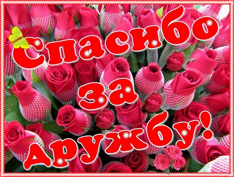 Спасибо за дружбу! Спасибо за праздник (фото 2)