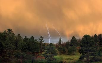 Я шила платье цвета розового пепла