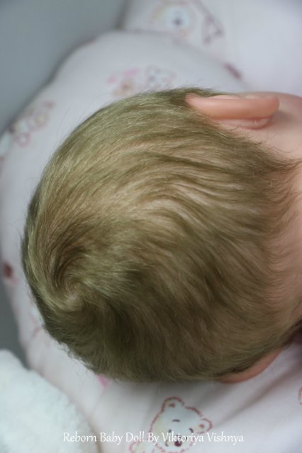 Близняшечки Ноа... Куколки реборн Виктории Вишни