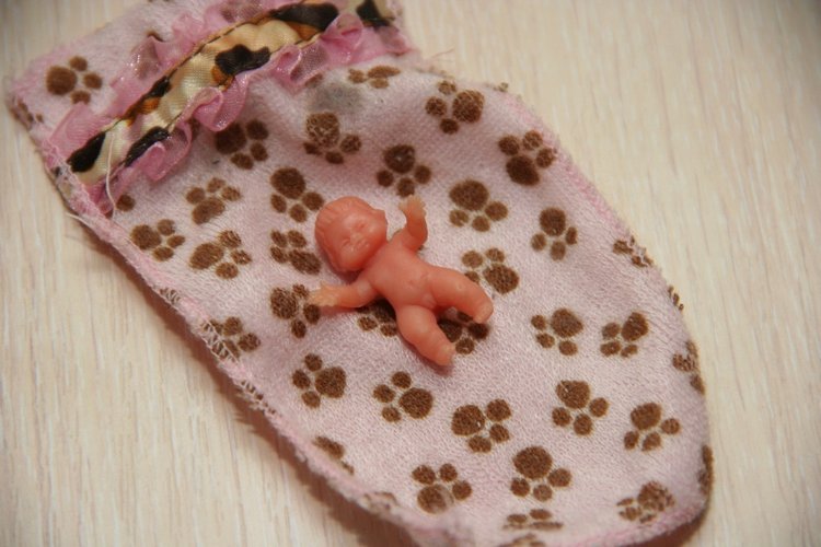 Самые маленькие в моей коллекции